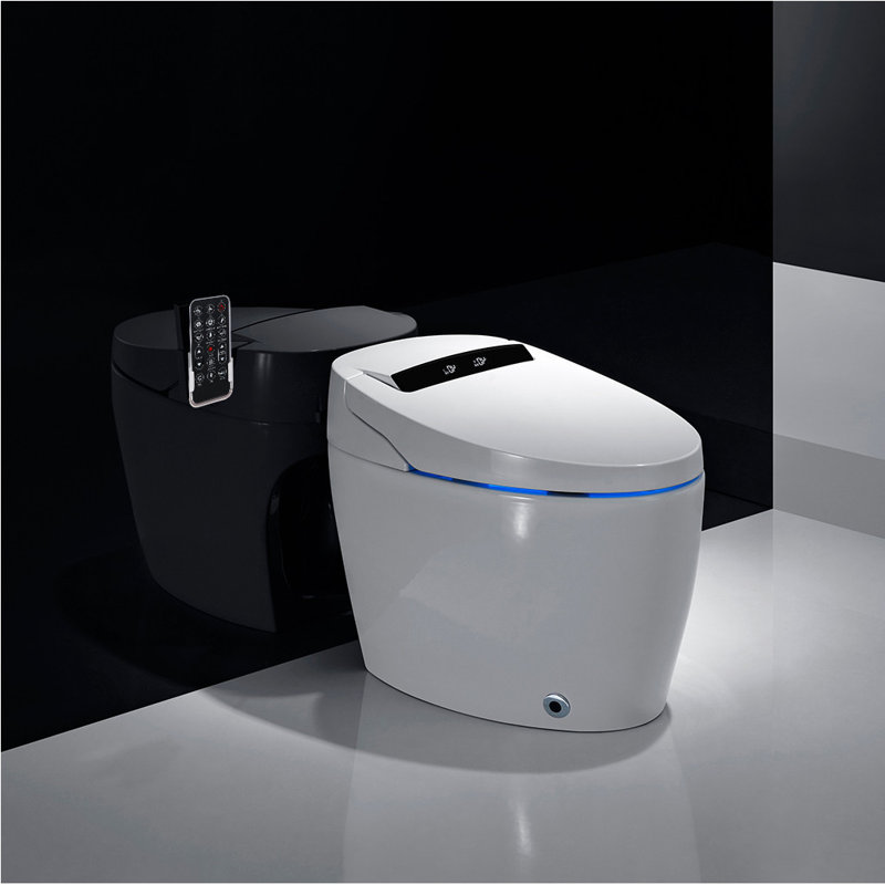 XSIX Smart Bidet Elongated Toilet Bidet, Warm Water Clear, Auto Flush
